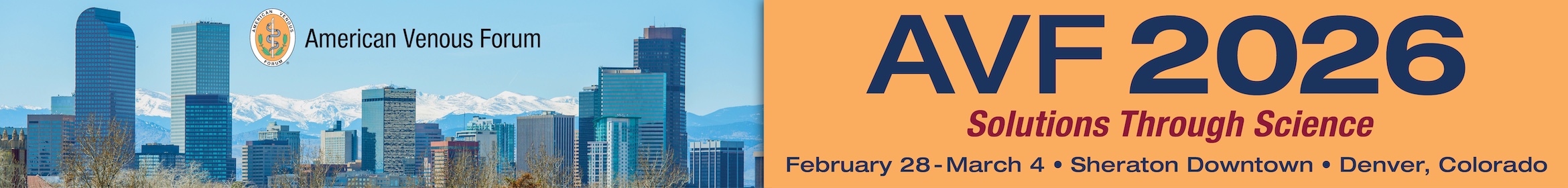 AVF 2026 Main banner